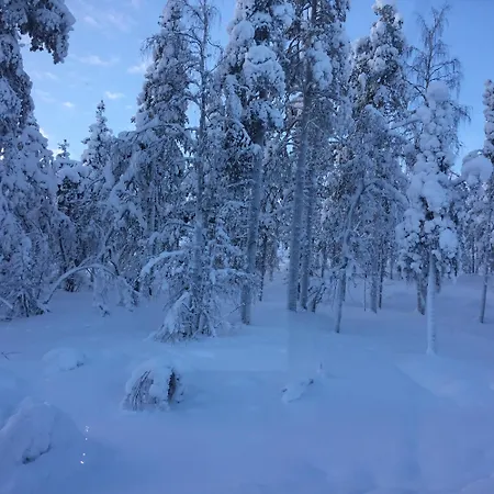 Villa Lapland Luxury Igloos C *